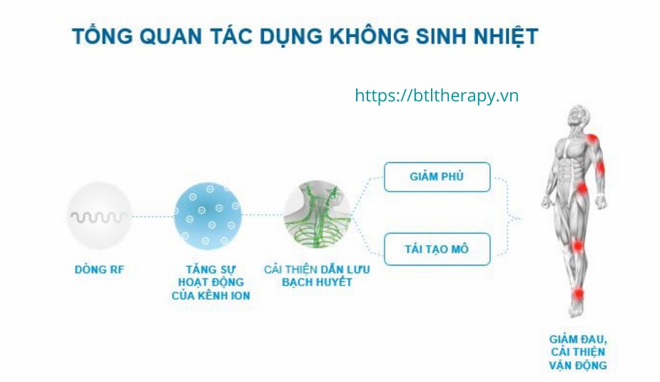 Máy Điều Trị Sóng Tần Số Radio BTL 6000 TR Therapy Elite Máy Điều Trị Sóng Tần Số Radio BTL 6000 TR Therapy Elite