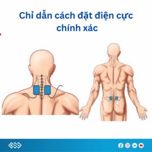 Máy điện xung điều trị BTL-4620-smart